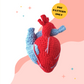 Realistic Heart - Crochet Pattern