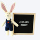 Jackson Rabbit - Crochet Pattern